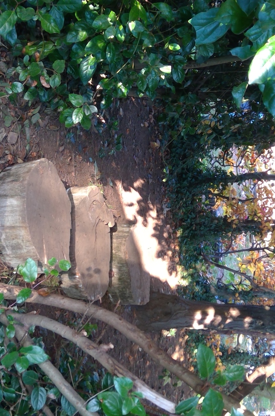 Stepping Stones in Forest School 