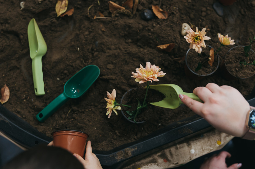 Planting flowers