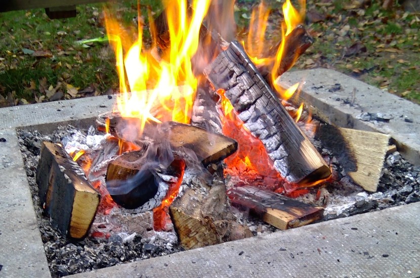 Fire Pit in Forest School